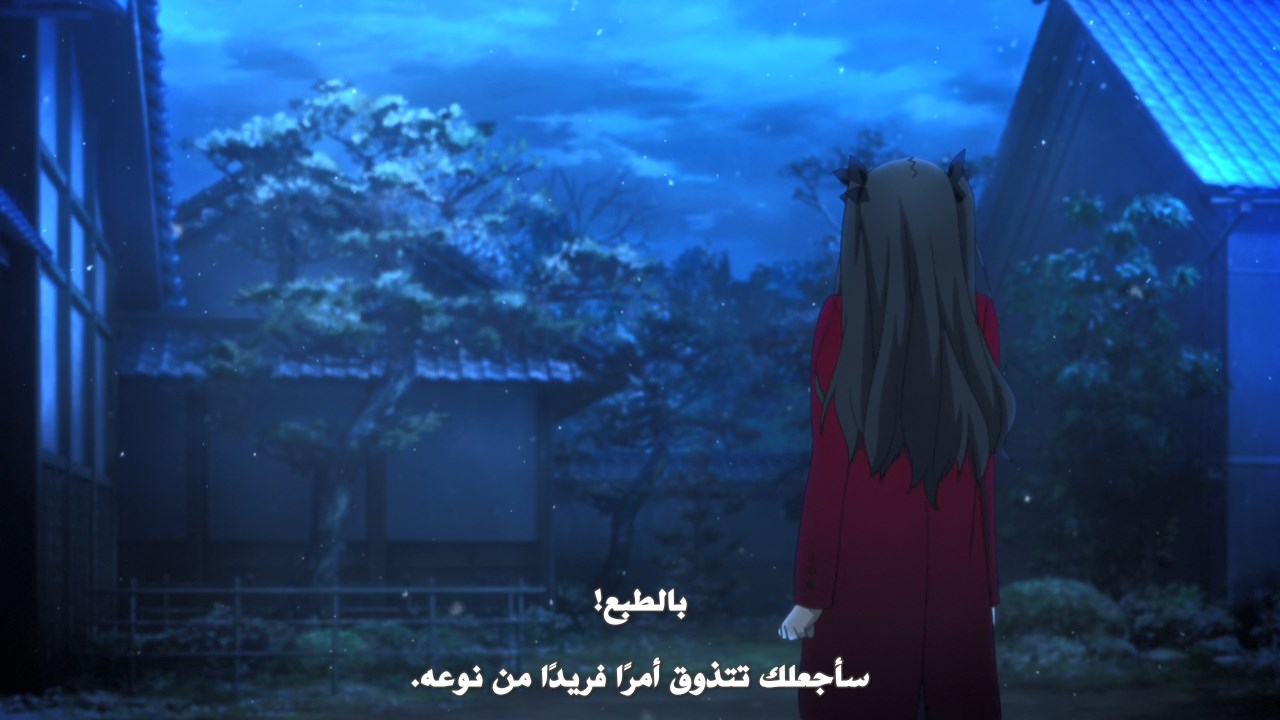 Fate/Stay Night 10-11